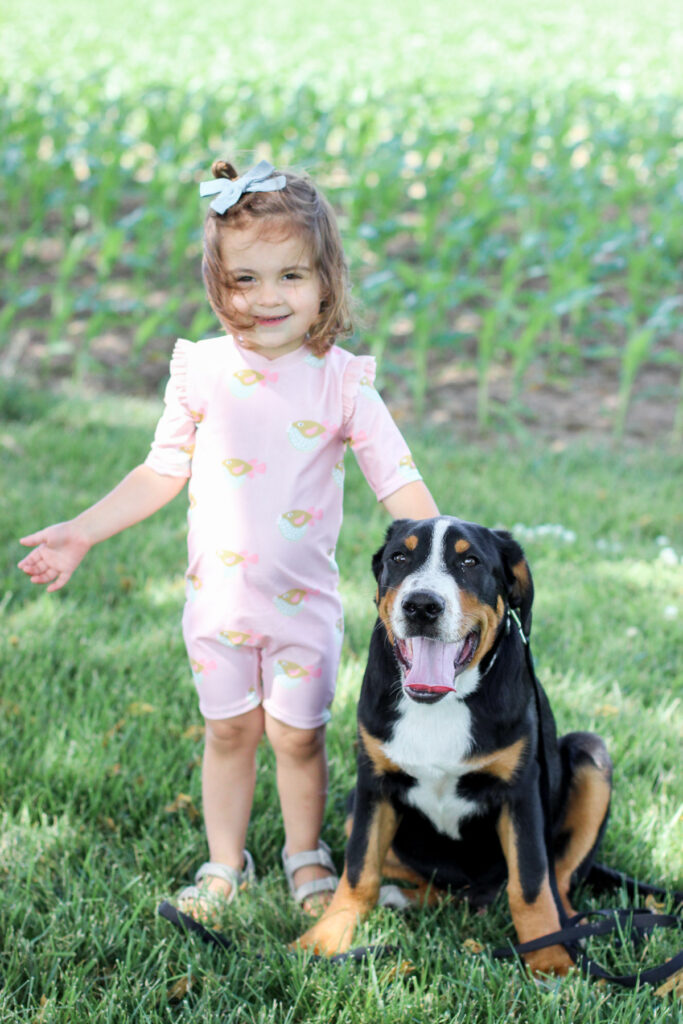 Teddy & Alaya | Greater Swiss Mountain Dog