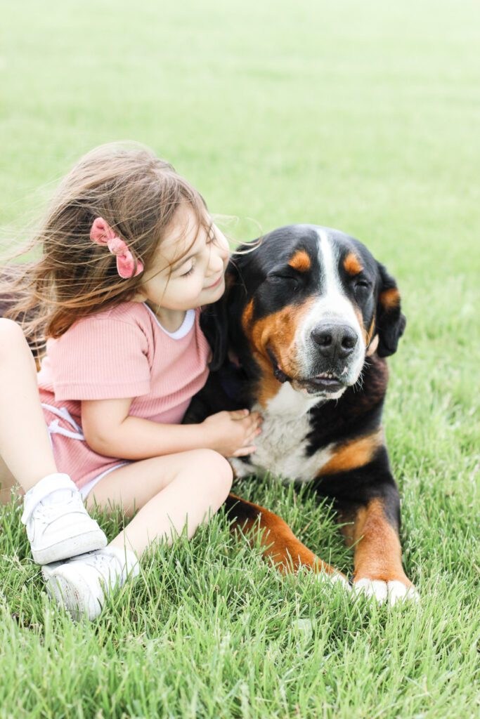Greater Swiss Mountain Dog with Kids